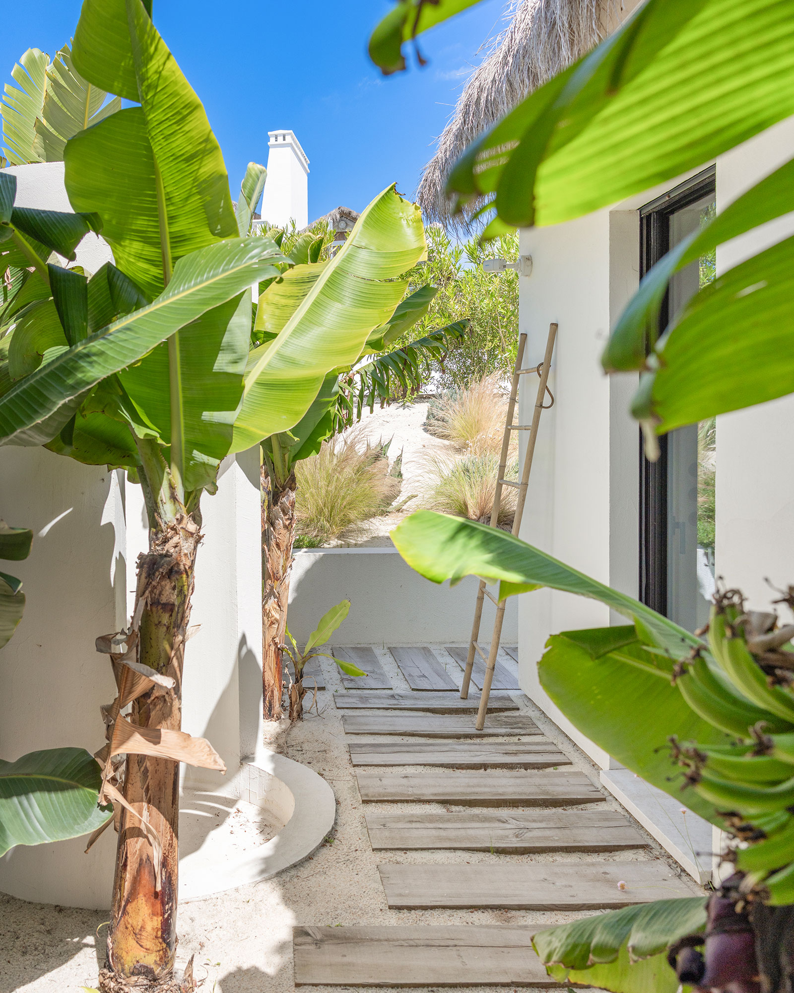 casa-quatro-ventos_villa_comporta-setubal-portugal_exterior-detail-plants.jpg