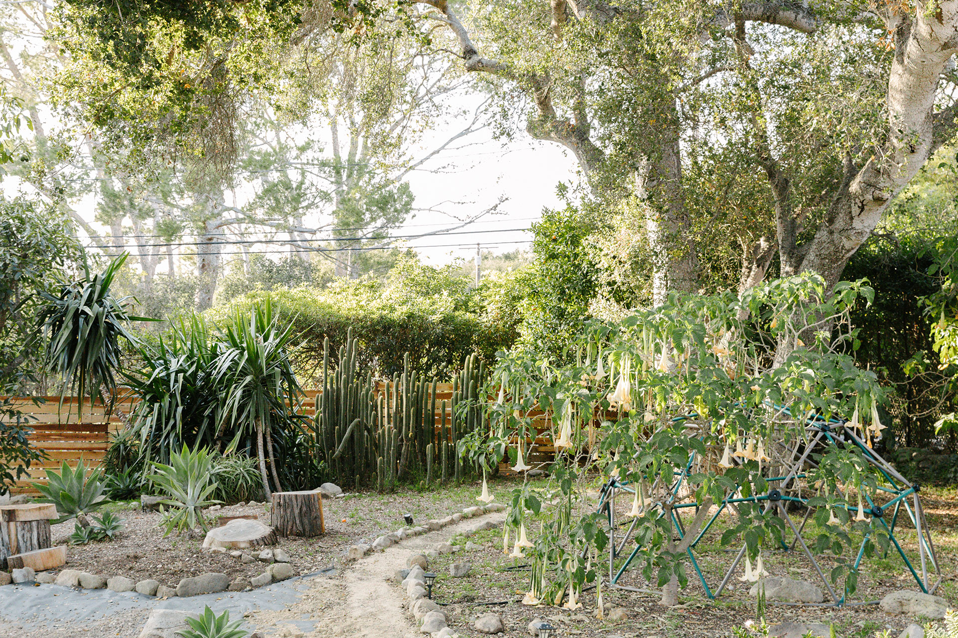 daughters-orchard_house_california-usa_exterior-cacti.jpg