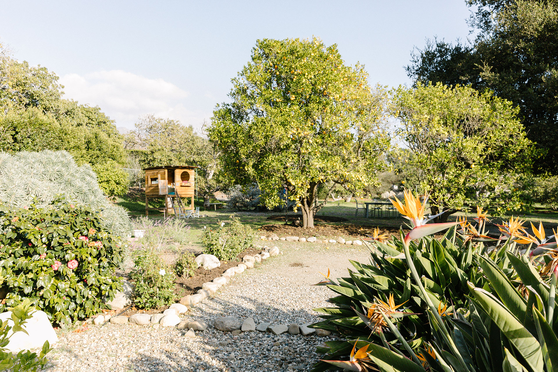 daughters-orchard_house_california-usa_exterior-design-space.jpg