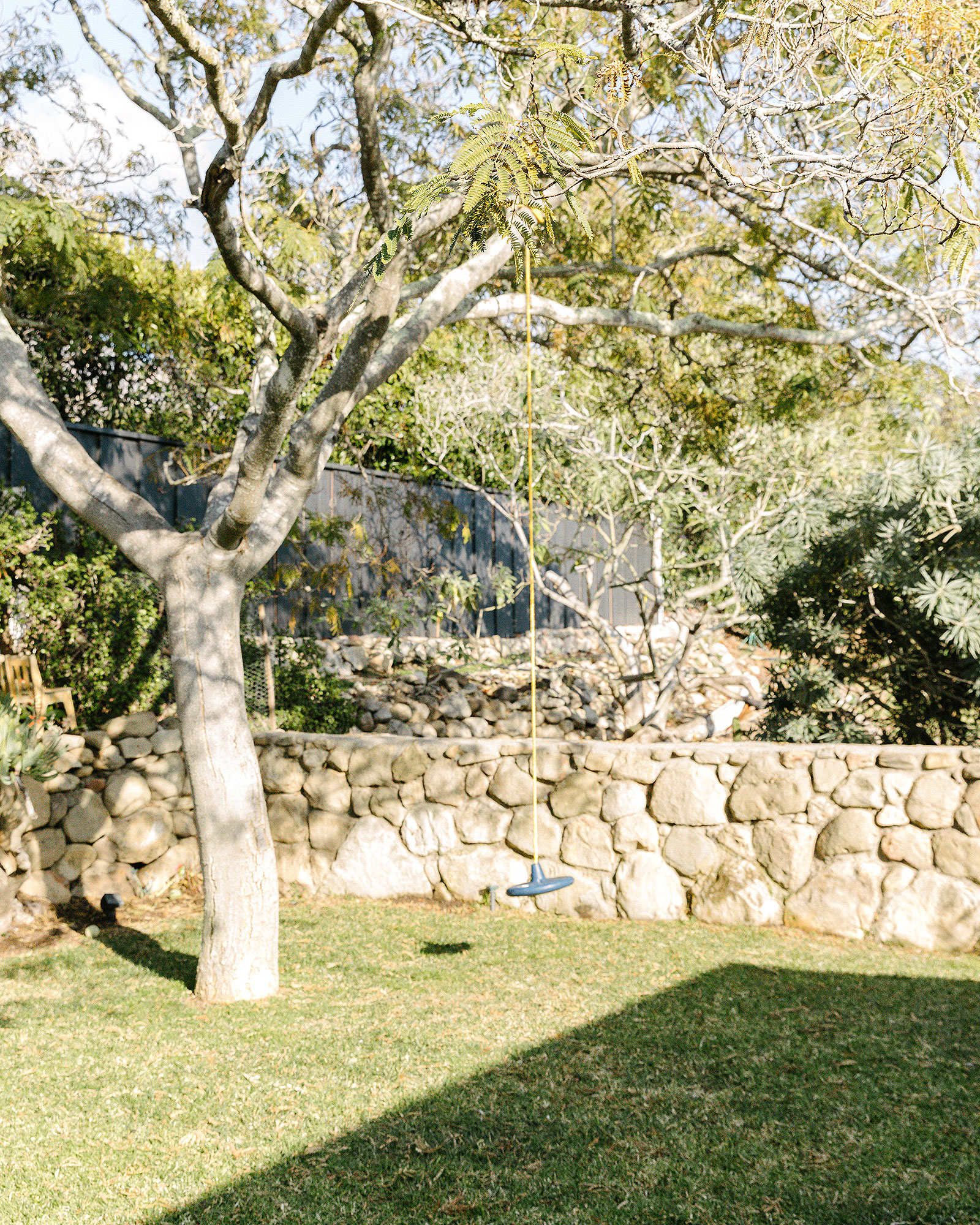 daughters-orchard_house_california-usa_exterior-tree.jpg