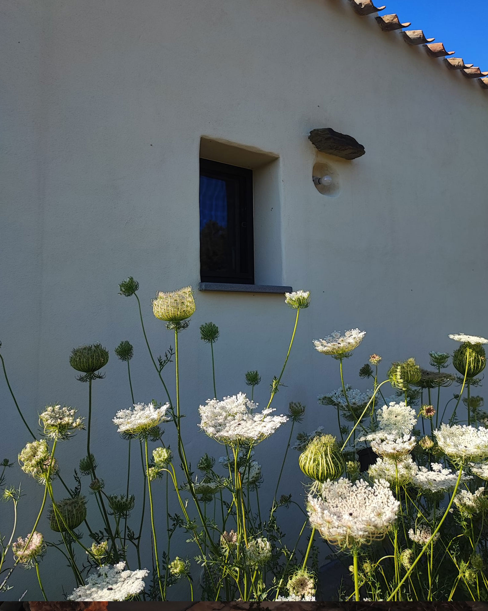 luxi-bia-casa-cubo_apartment_sardinia-italy_exterior-detail.jpg