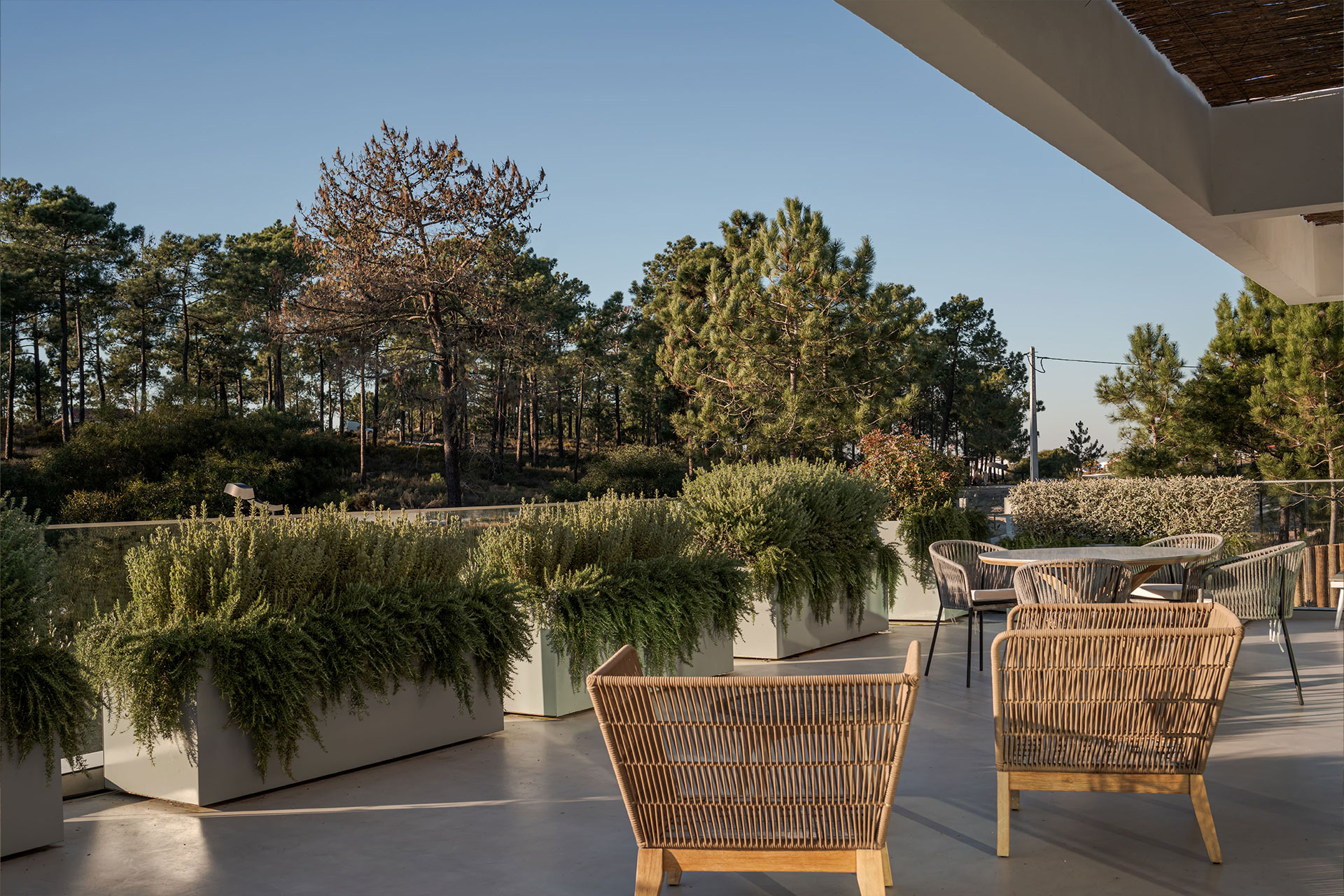 casa-da-palicada_villa_setubal-portugal_exterior-view.jpg