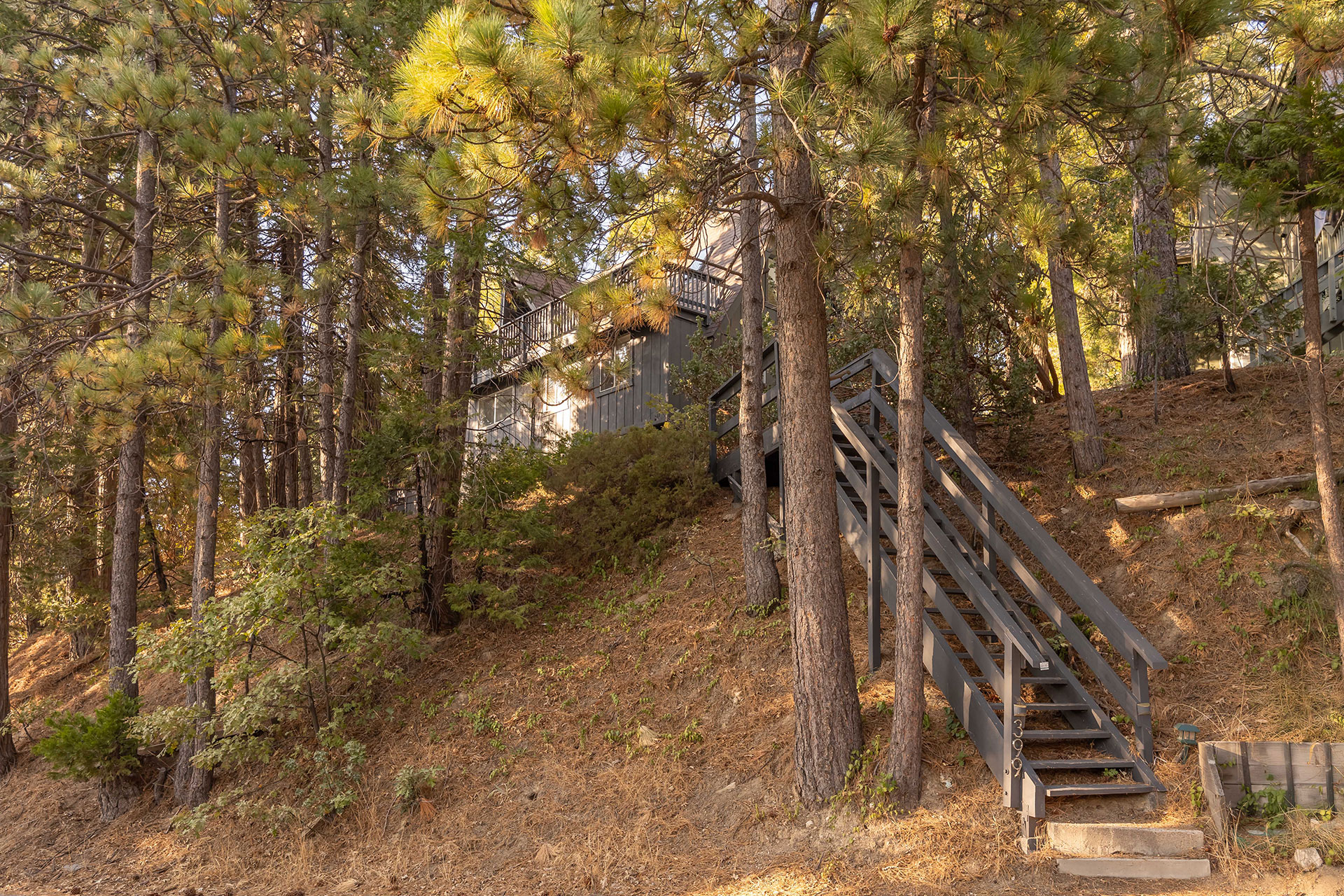 canyon-pines-a-frame_aframe_california-usa_exterior-stairs.jpg