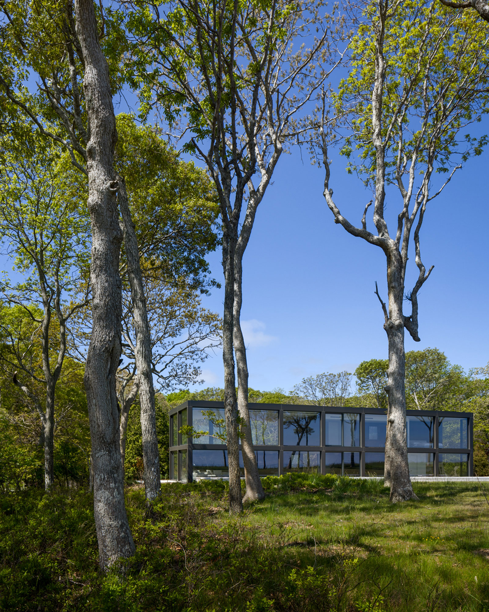 frame-house_house_new-york-usa_exterior-facade-design.jpg