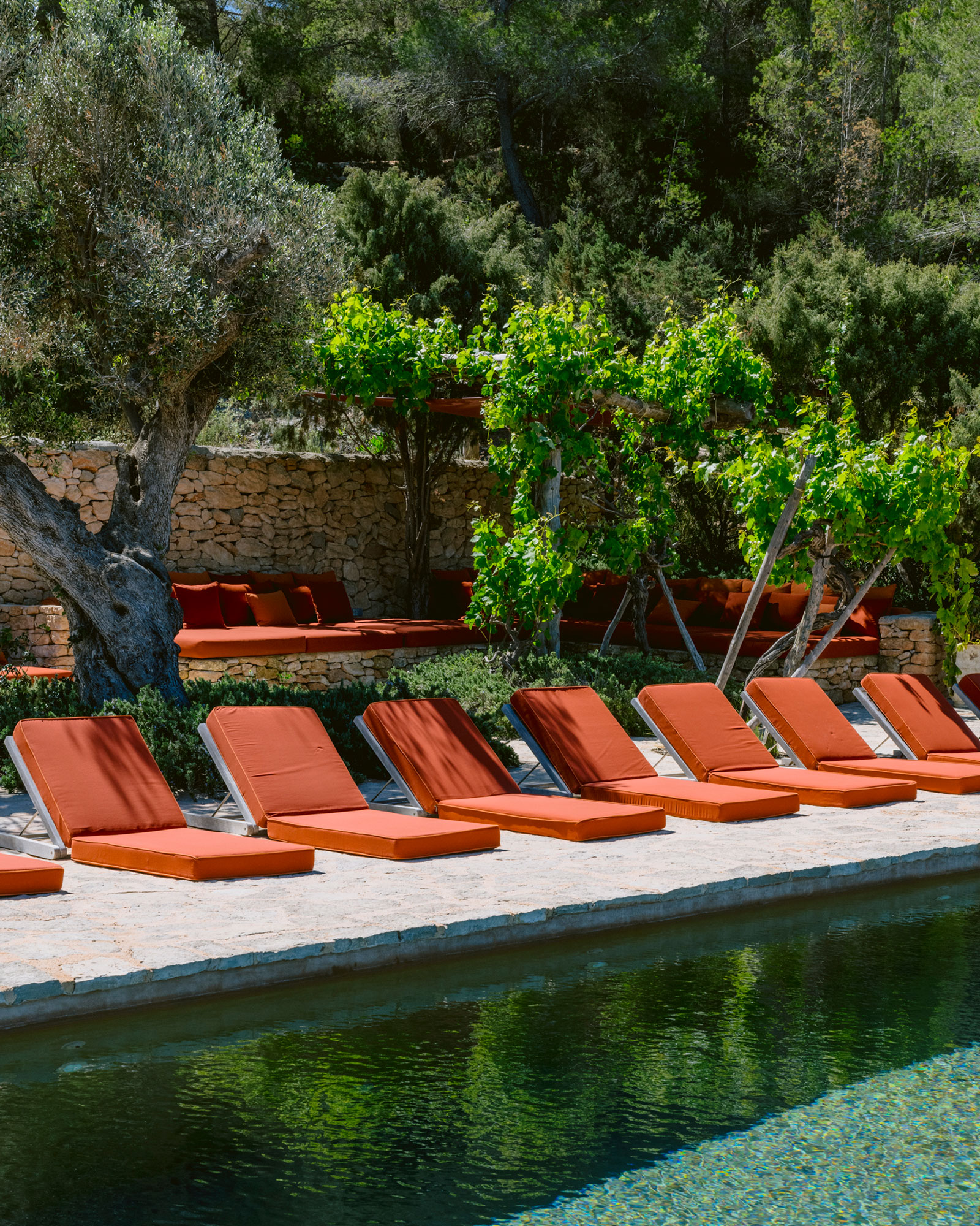 can-cielo_house_ibiza-spain_exterior-pool-detail.jpg