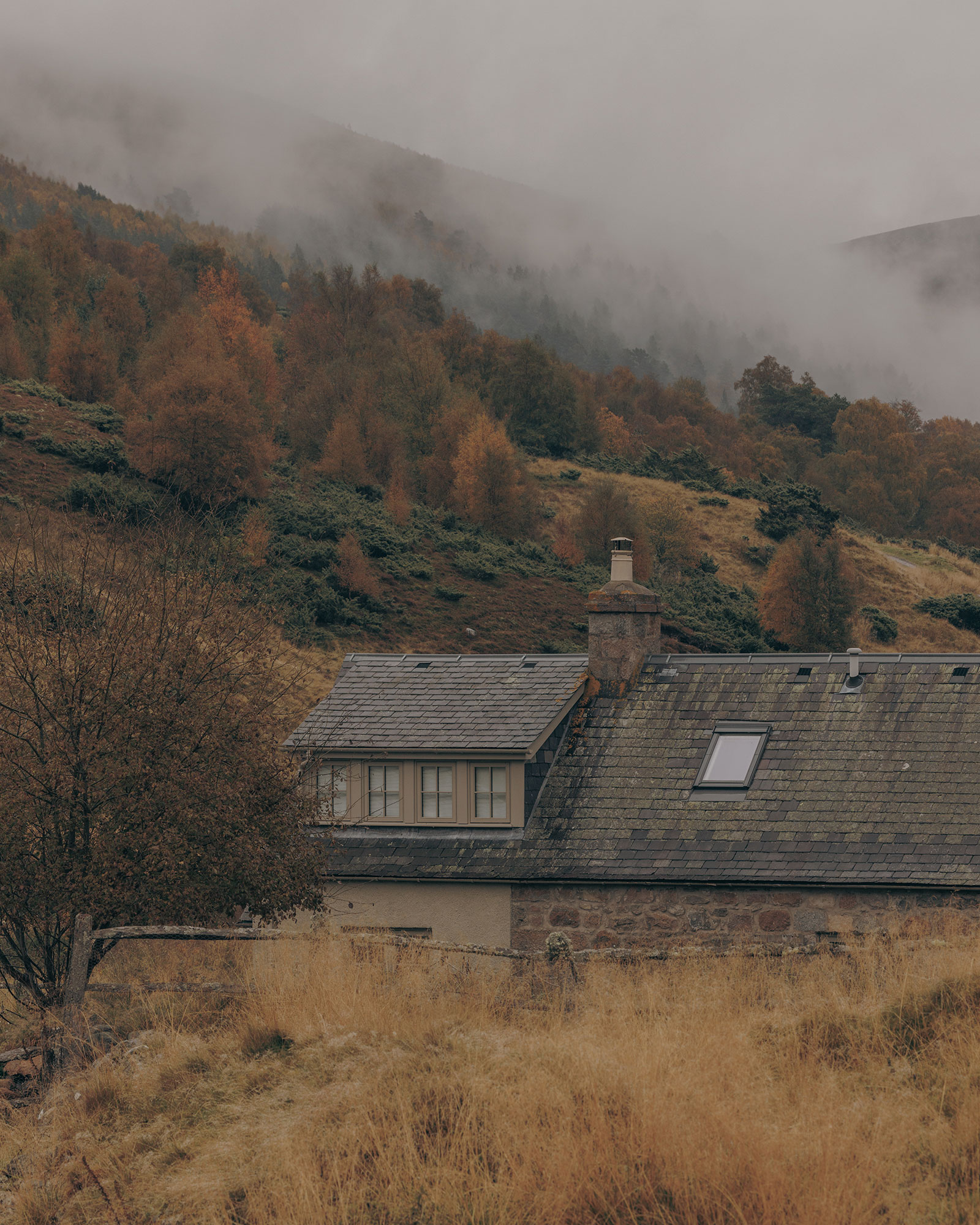 laggan-cottage_cottage_ballater-scotland-uk_exterior-detail.jpg