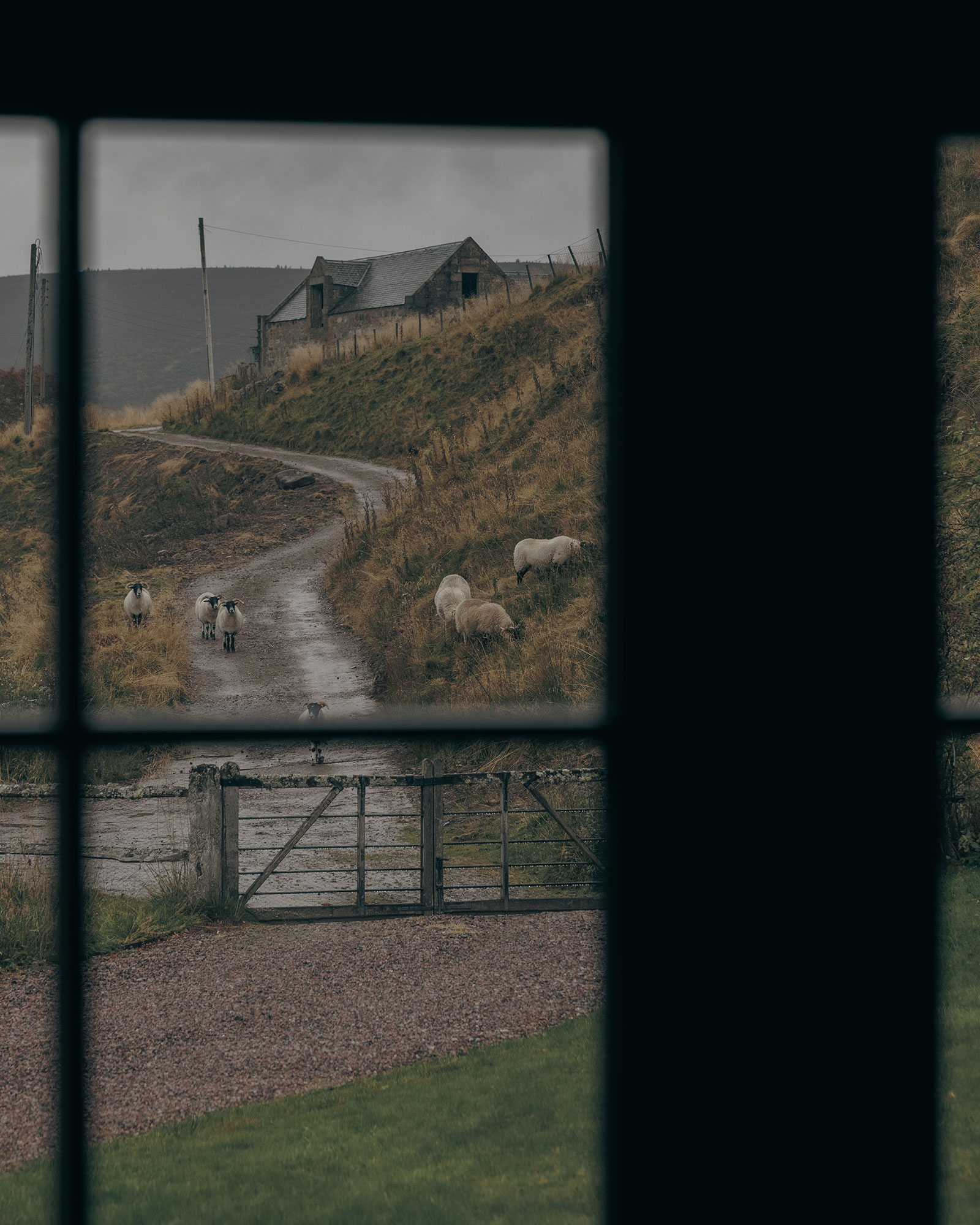 laggan-cottage_cottage_ballater-scotland-uk_interior-view.jpg