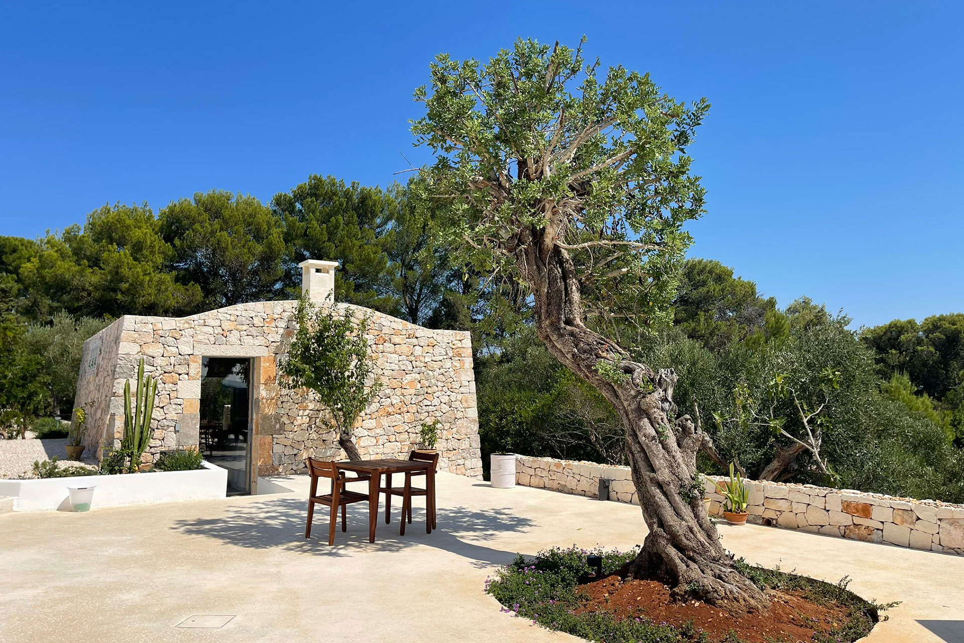 trullo-in-cima_trullo_puglia-italy_exterior-tree.jpg