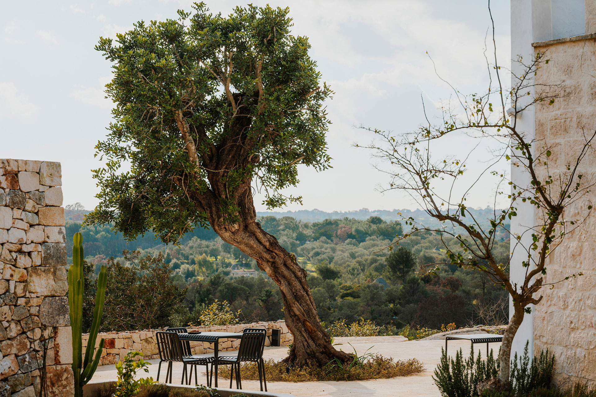 trullo-in-cima_trullo_puglia-italy_exterior-tree-view.jpg