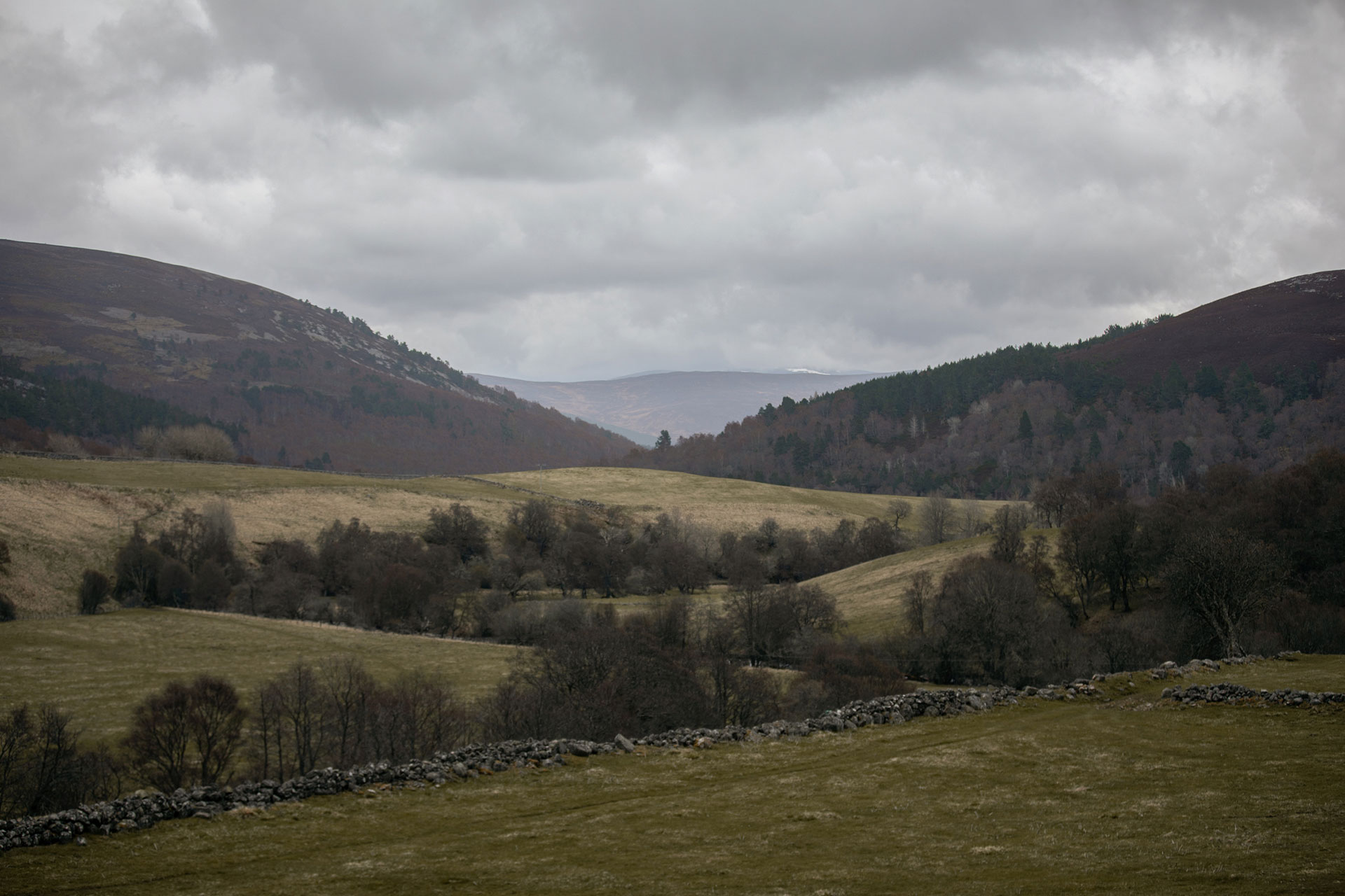 inverenzie-cottage_cottage_ballater-scotland-uk_exterior-view.jpg