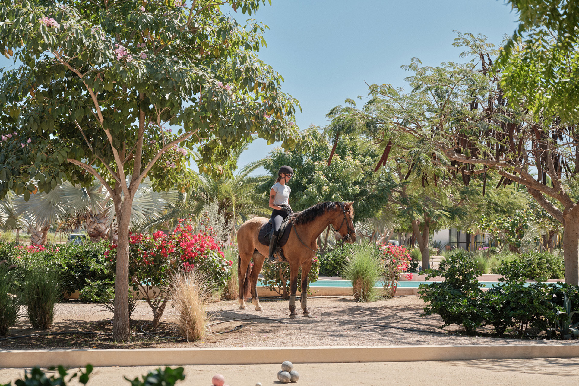 rancho-cuatro-patas_estate_baja-california-sur-mexico_exterior-horse.jpg