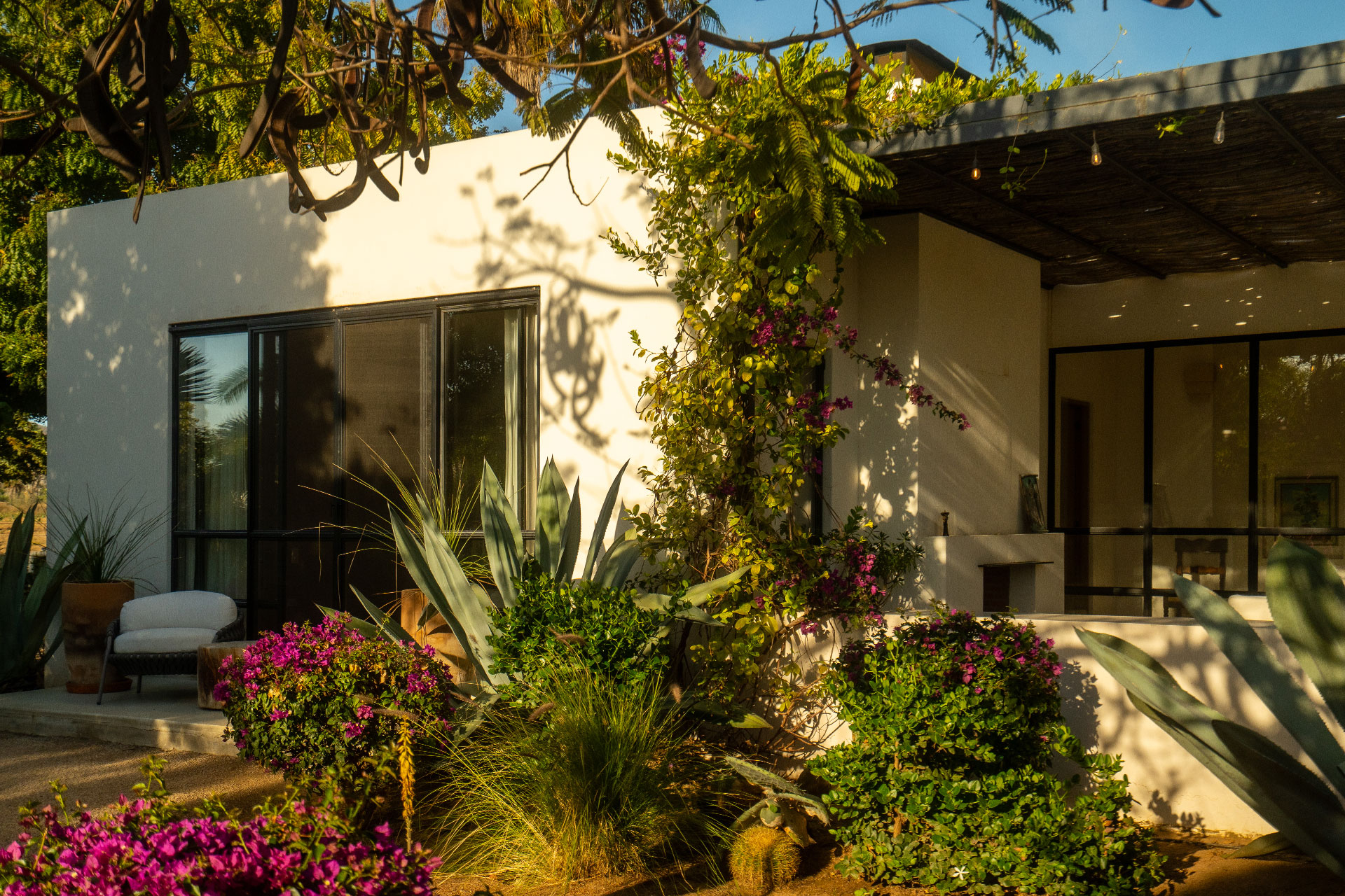 rancho-cuatro-patas_estate_baja-california-sur-mexico_exterior-plants.jpg