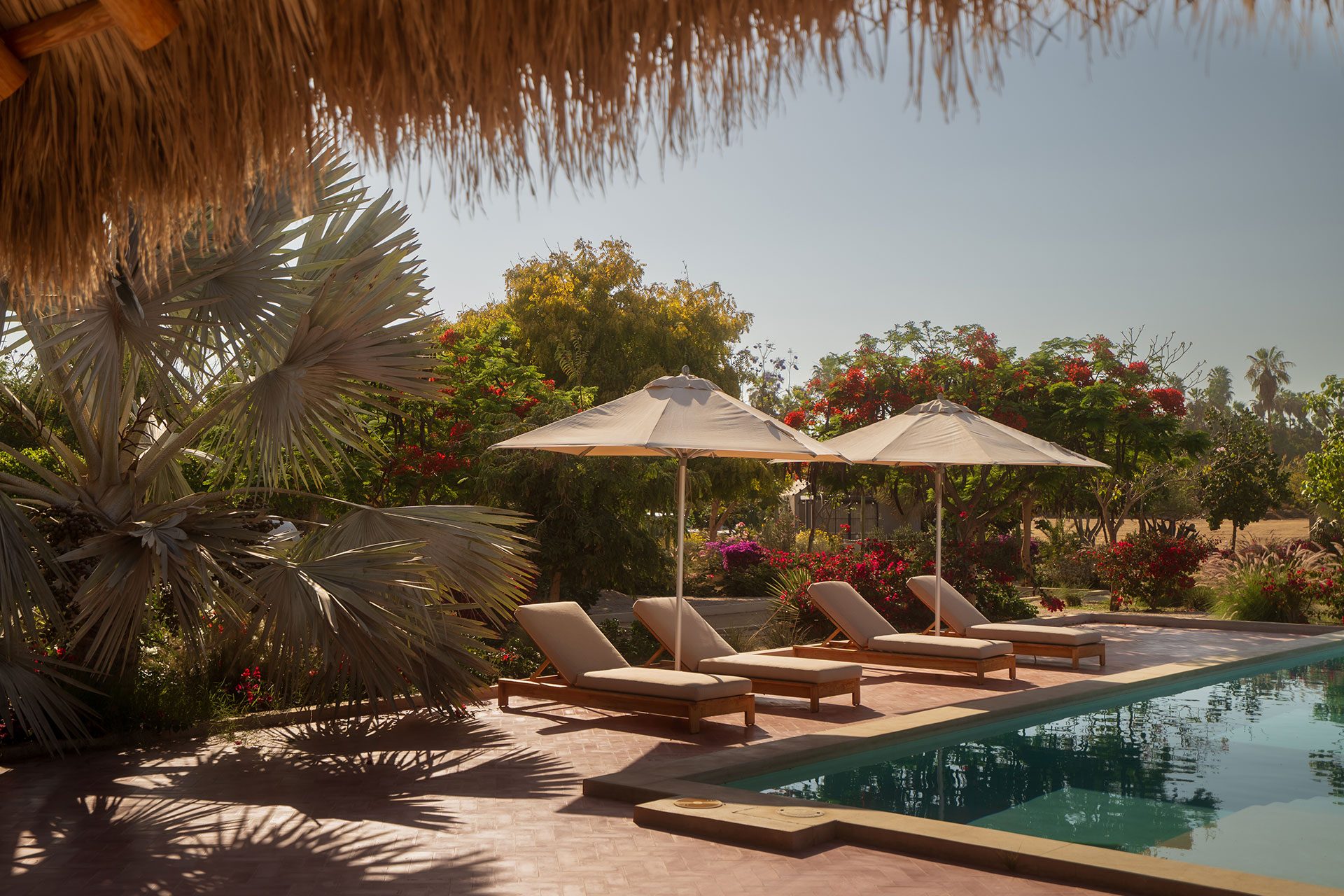 rancho-cuatro-patas_estate_baja-california-sur-mexico_exterior-pool.jpg