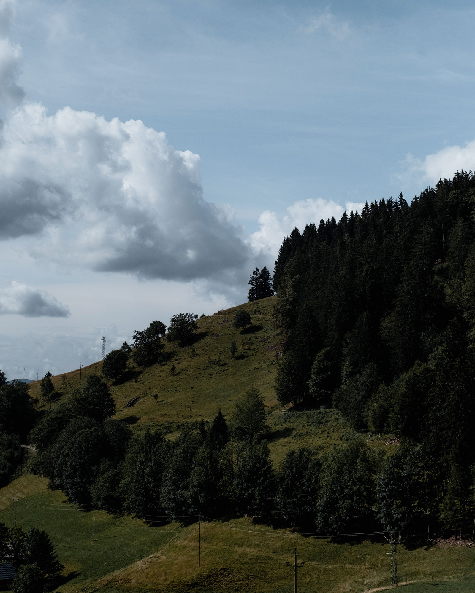 black-forest-house-1650_house_wieden-germany_exterior-space.jpg