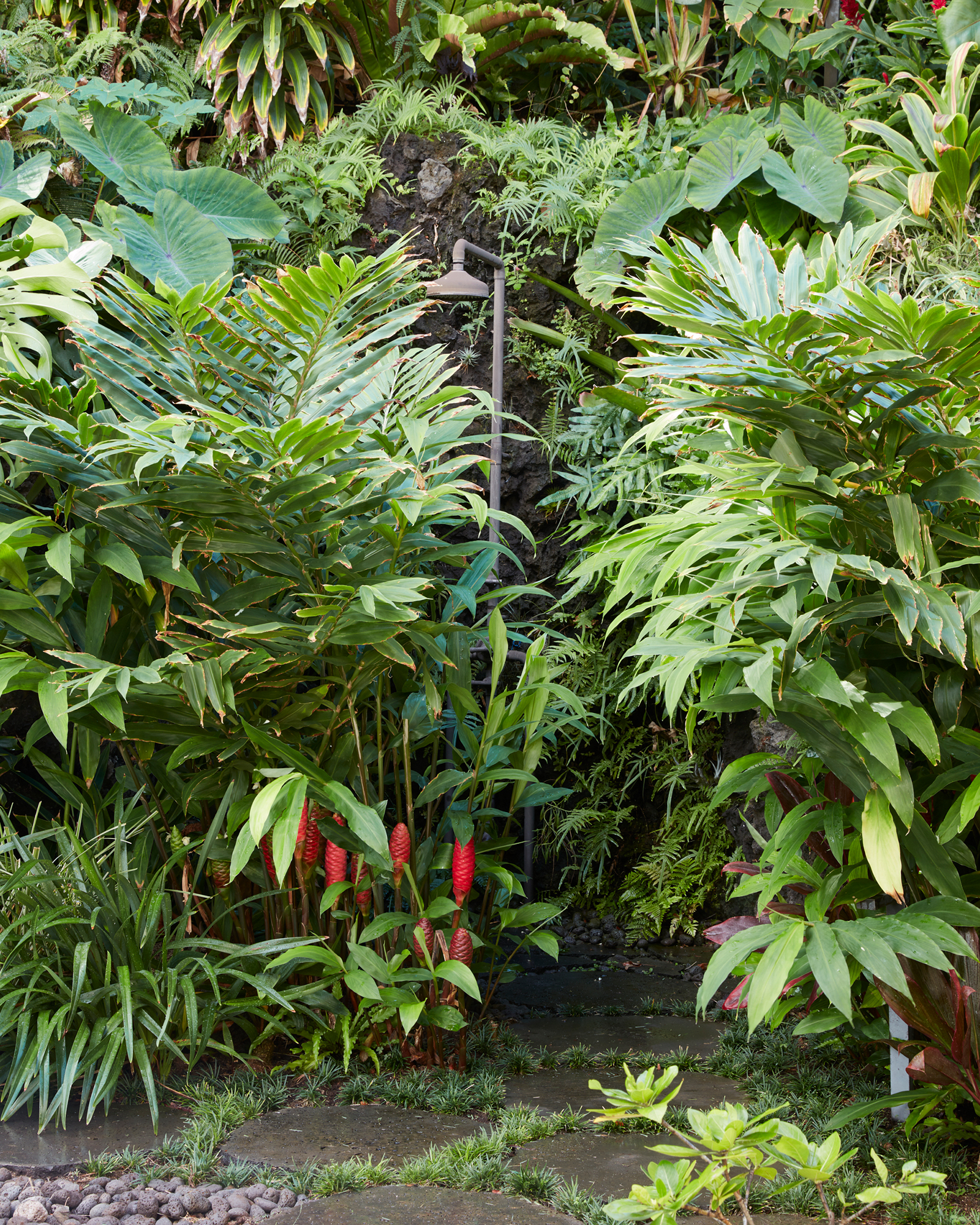 diamond-head-hillside-estate_villa_honolulu-hawaii-usa_exterior-shower.jpg