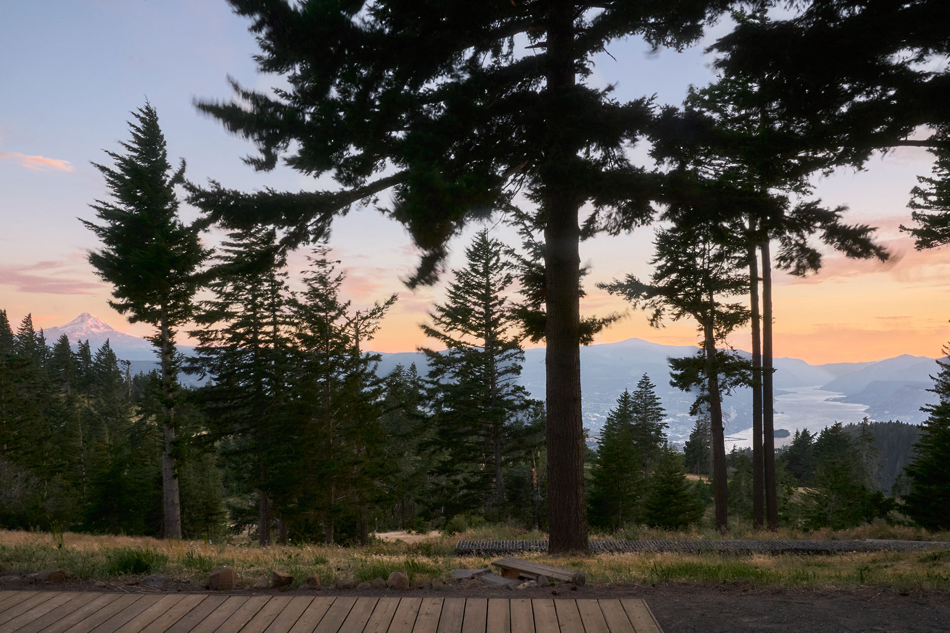 dry-creek-cabin_cabin_washington-usa_exterior-trees.jpg