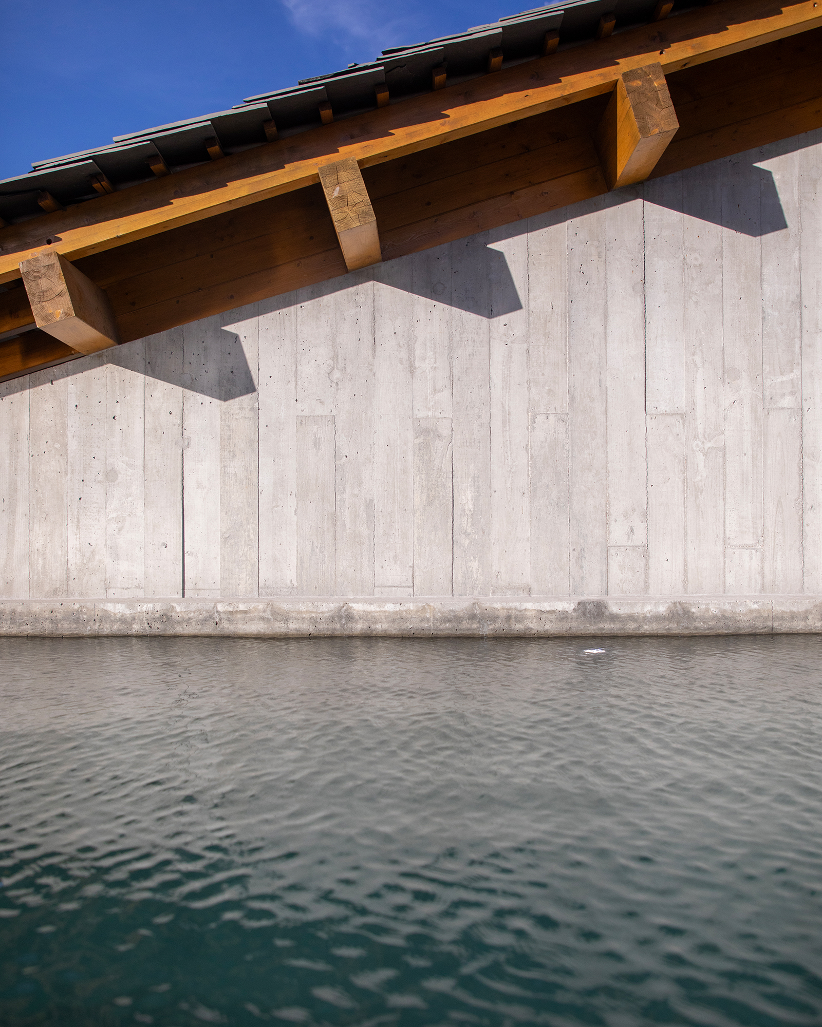 fugahouse_villa_viseu-portugal_exterior-pool-detail.jpg