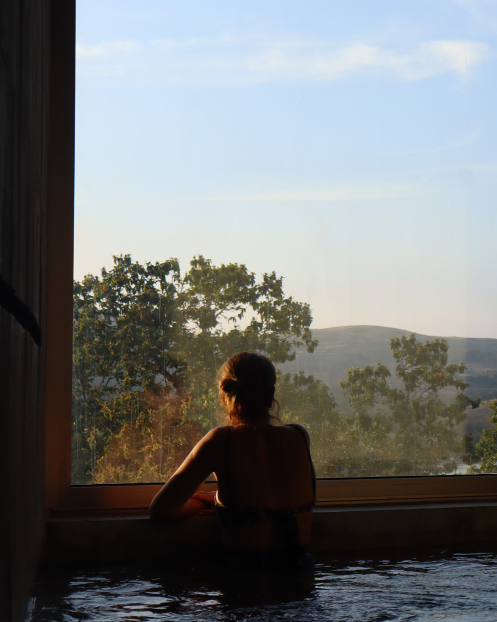 fugahouse_villa_viseu-portugal_exterior-pool-view.jpg