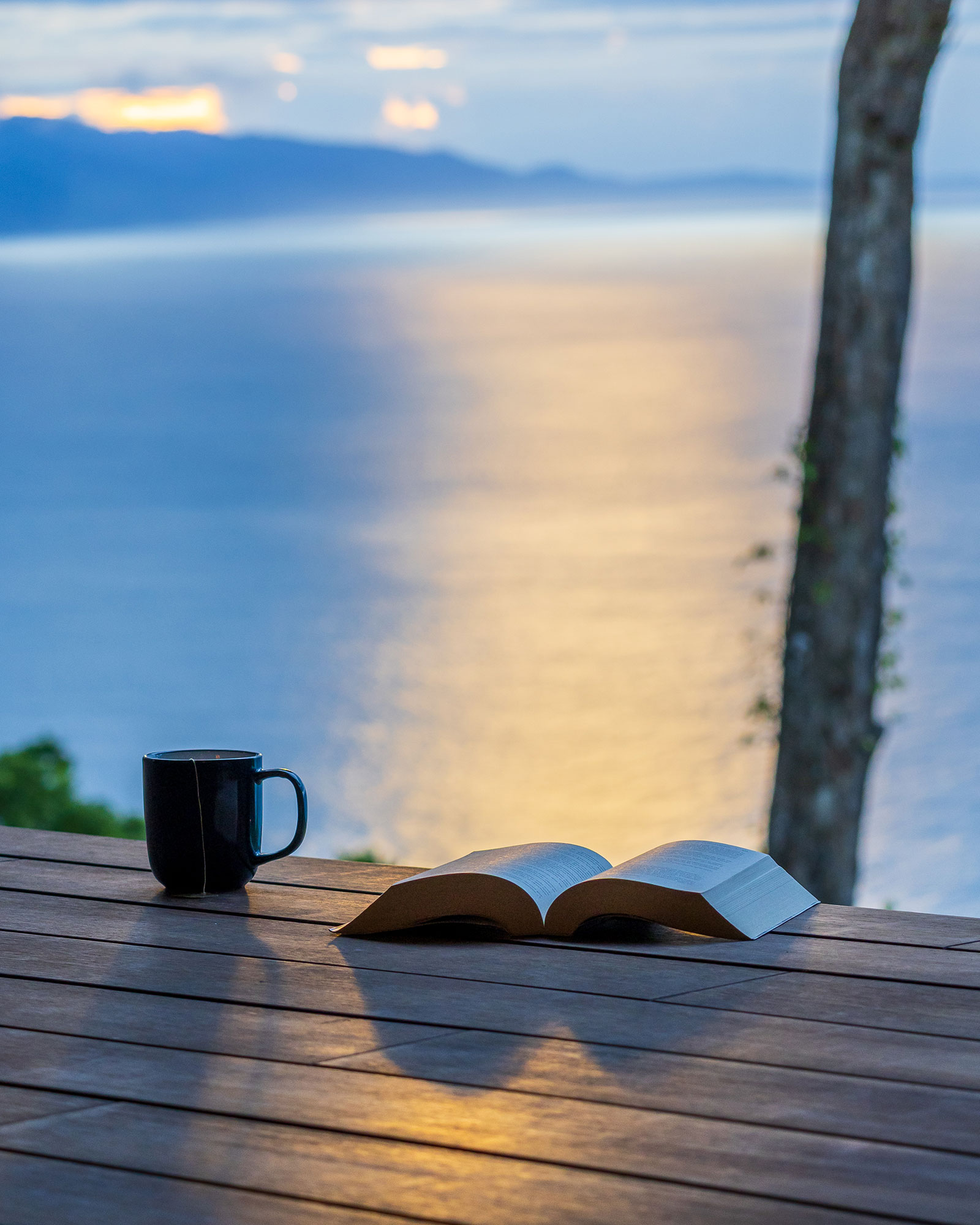 punta-jaguar_bungalow_puntarenas-costa-rica_exterior-book.jpg