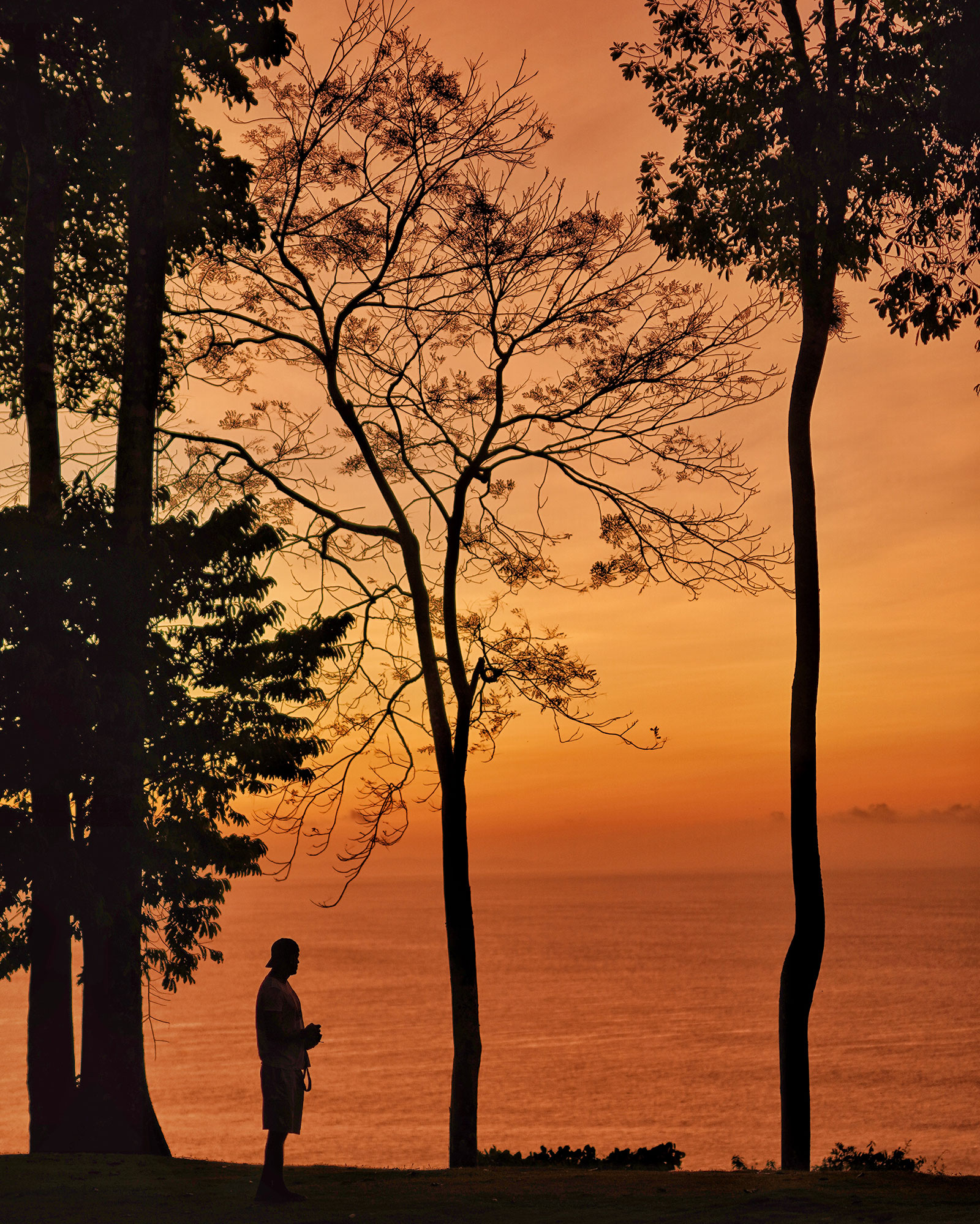 punta-jaguar_bungalow_puntarenas-costa-rica_exterior-sunset-view-tree.jpg