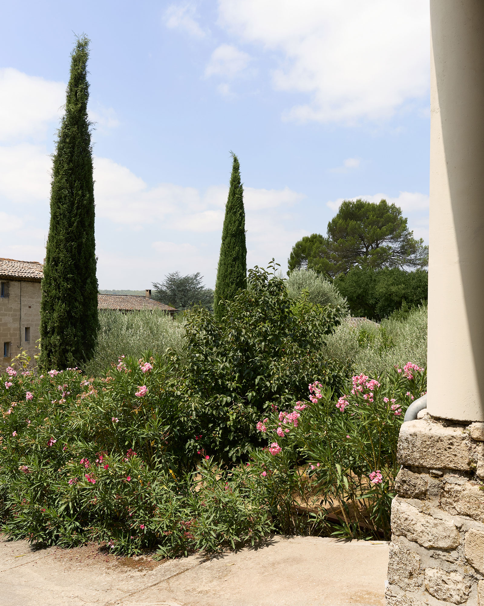 le-loft-de-luzege_loft_Occitanie-france_exterior-pines.jpg