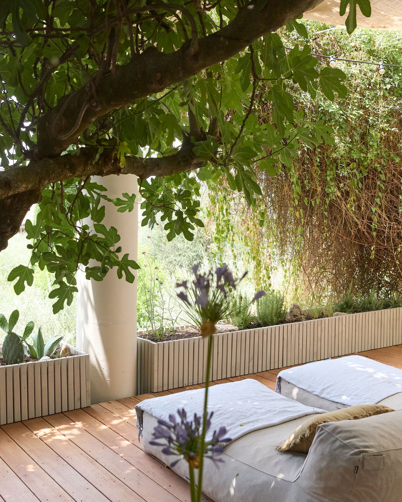 le-loft-de-luzege_loft_Occitanie-france_exterior-space.jpg