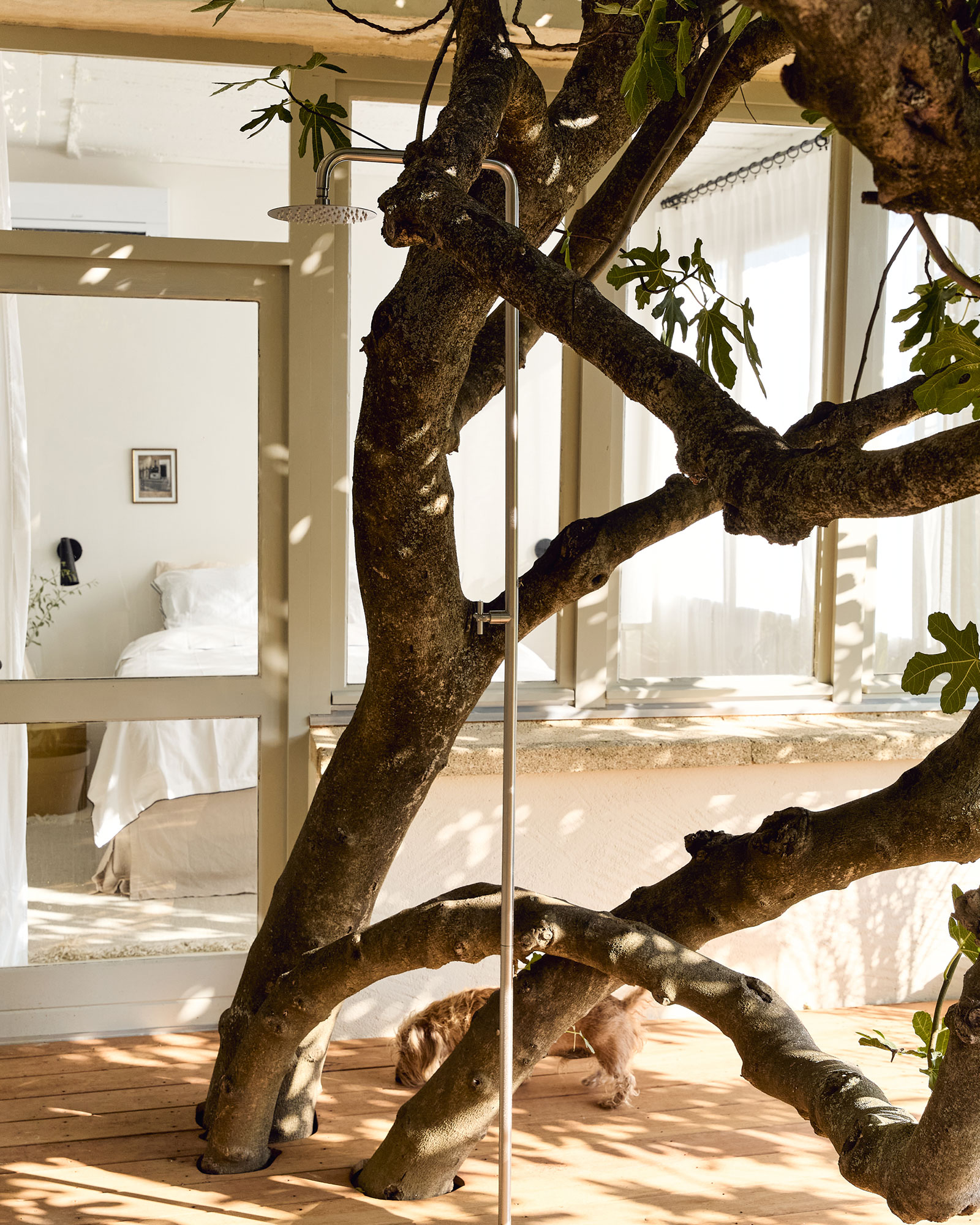 le-loft-de-luzege_loft_Occitanie-france_exterior-tree.jpg