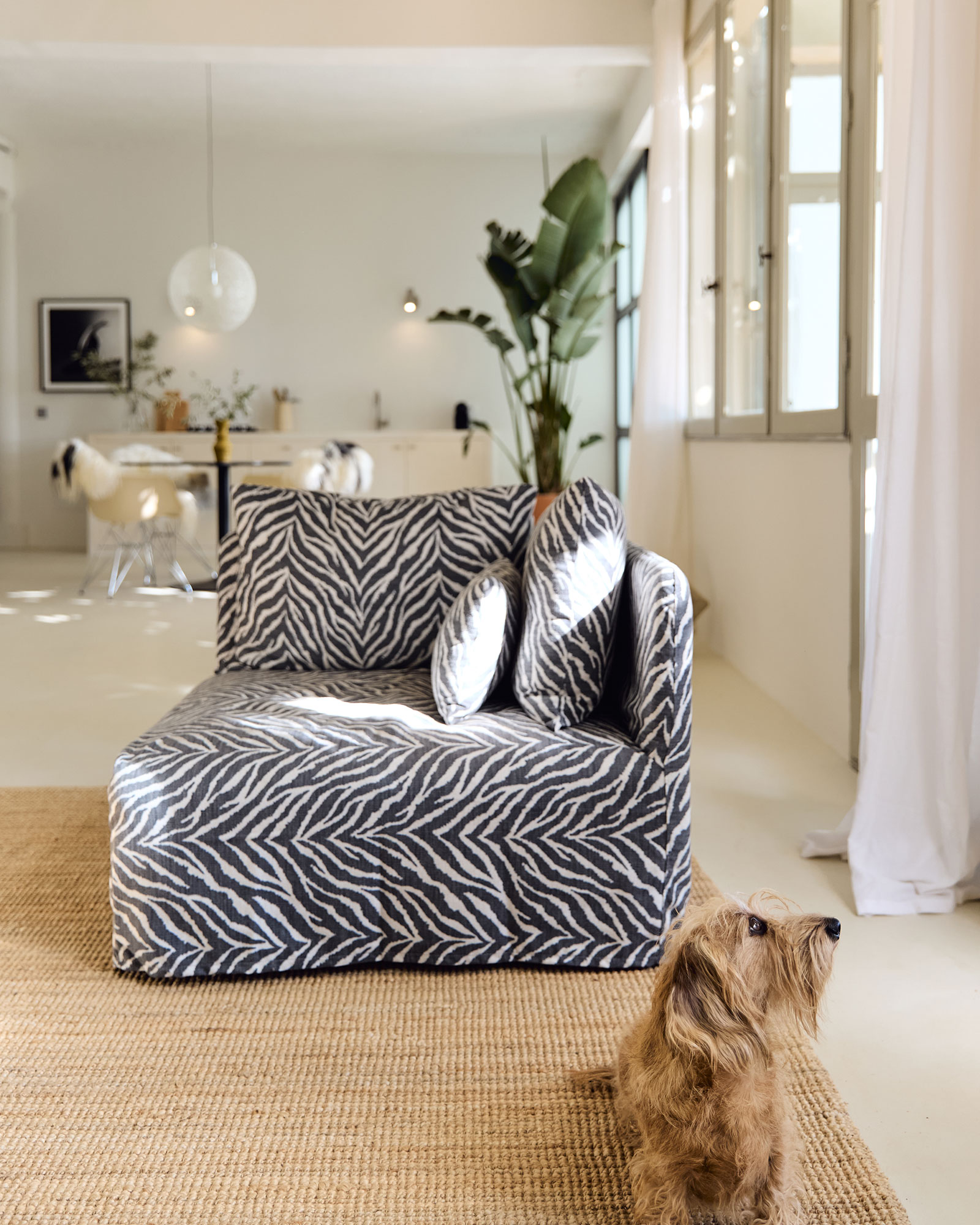 le-loft-de-luzege_loft_Occitanie-france_interior-dog.jpg