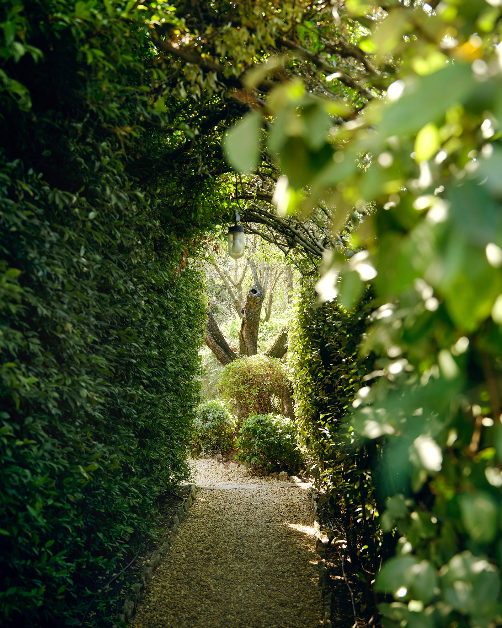 pistou_villa_Provence-Alpes-Côte-d'Azur-france_exterior-path.jpg