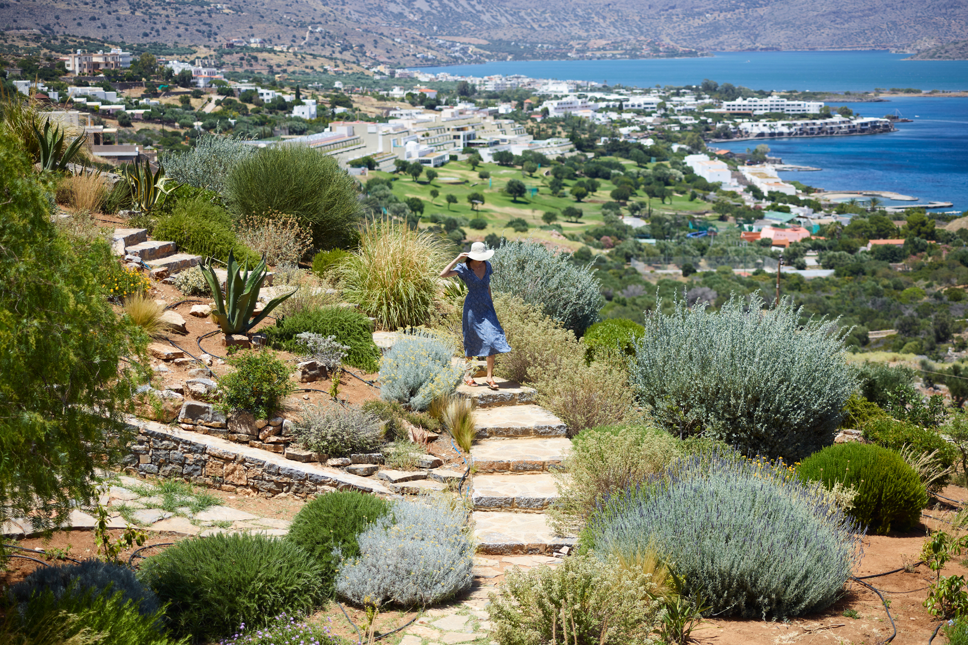 luxury_villa_crete_246.jpg