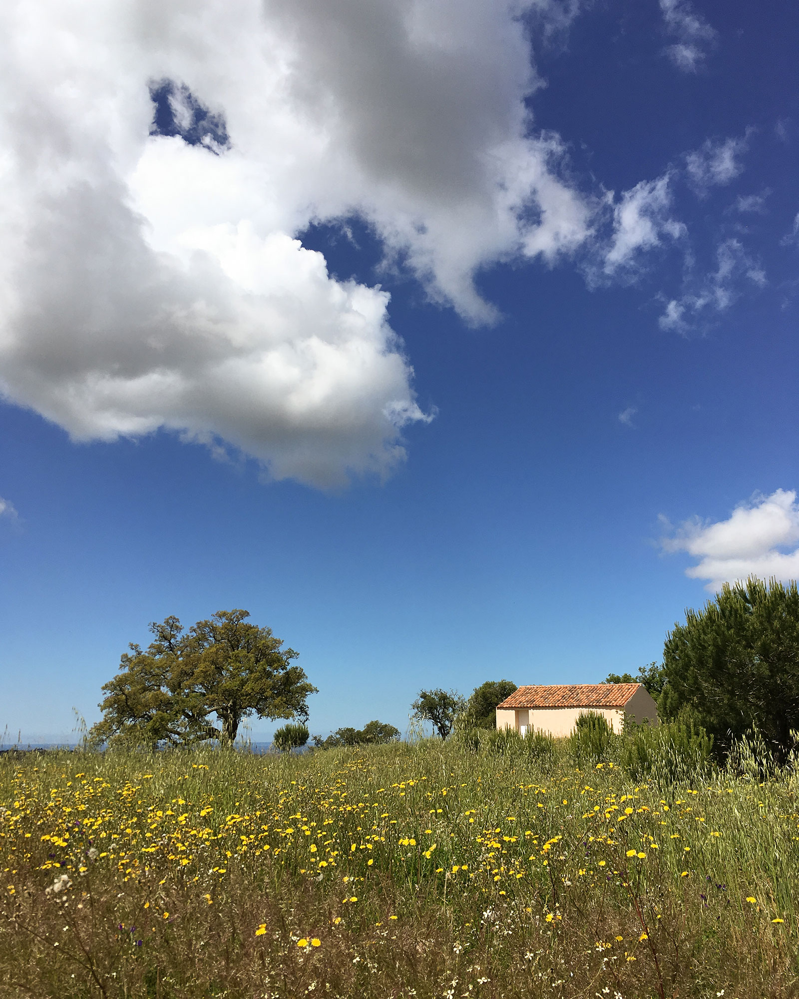 the-little-orchard_villa_melides-setubal-portugal_exterior-facade-detail-sky.jpg