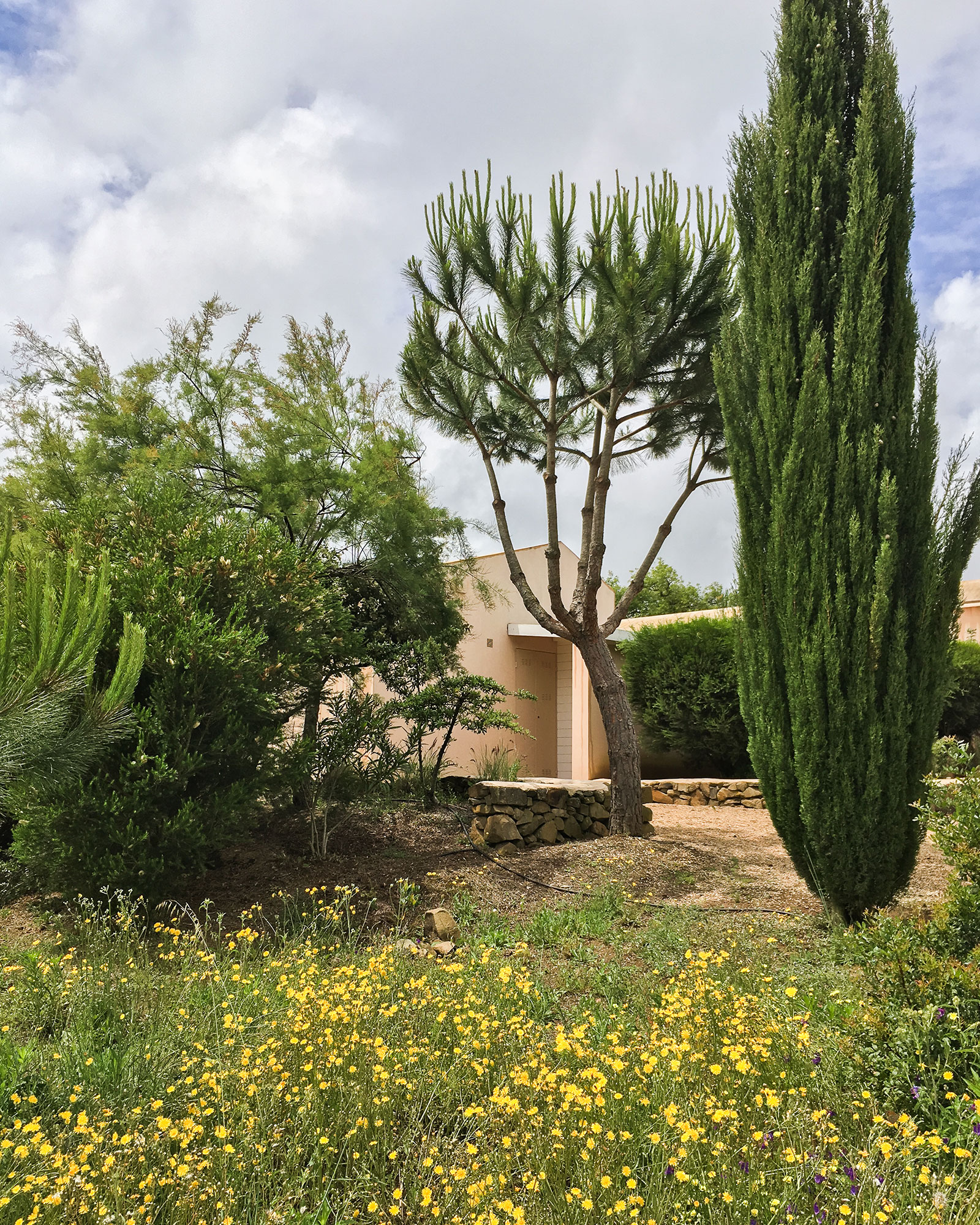 the-little-orchard_villa_melides-setubal-portugal_exterior-flowers.jpg
