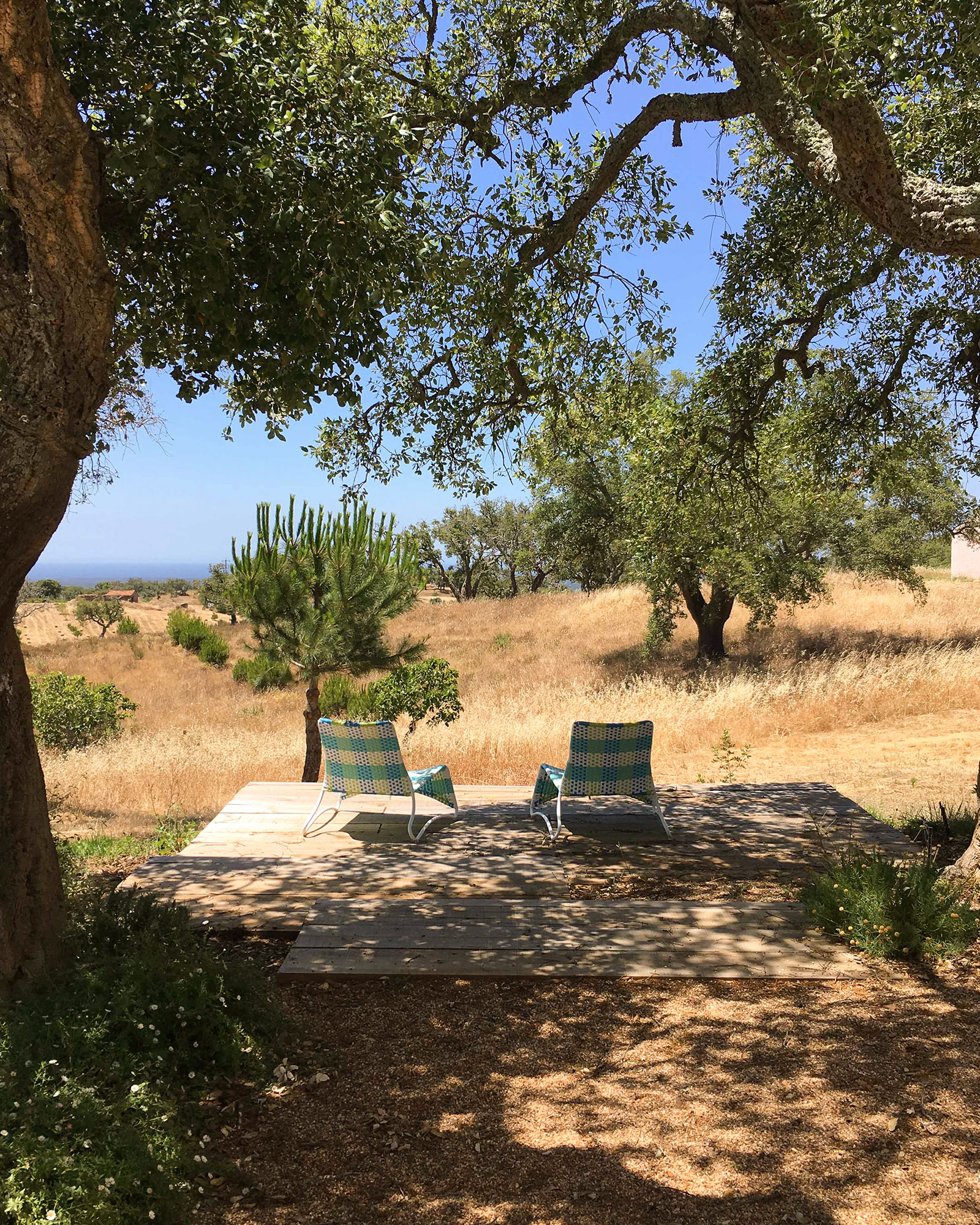 the-little-orchard_villa_melides-setubal-portugal_exterior-seat.jpg