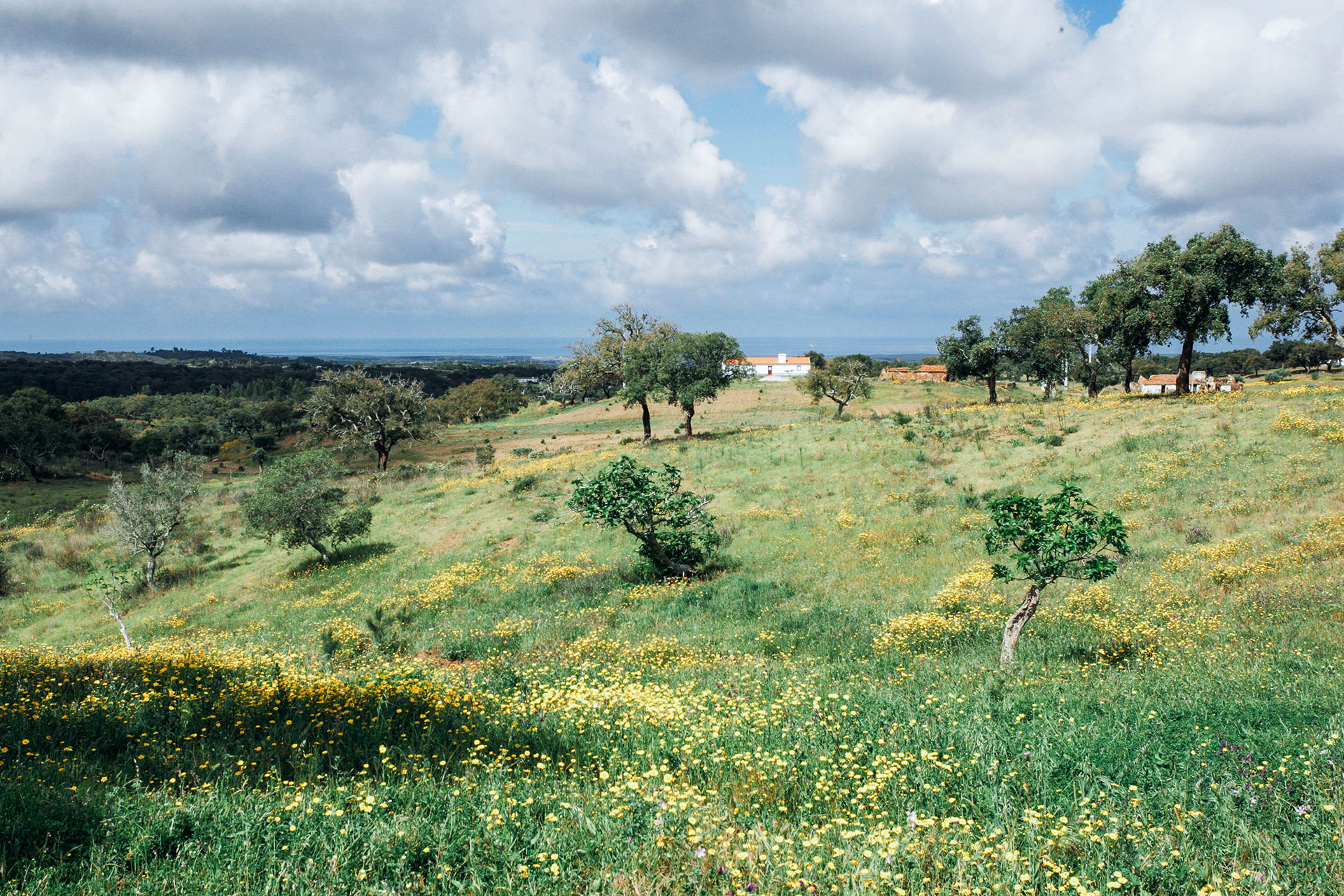 the-little-orchard_villa_melides-setubal-portugal_exterior-view.jpg