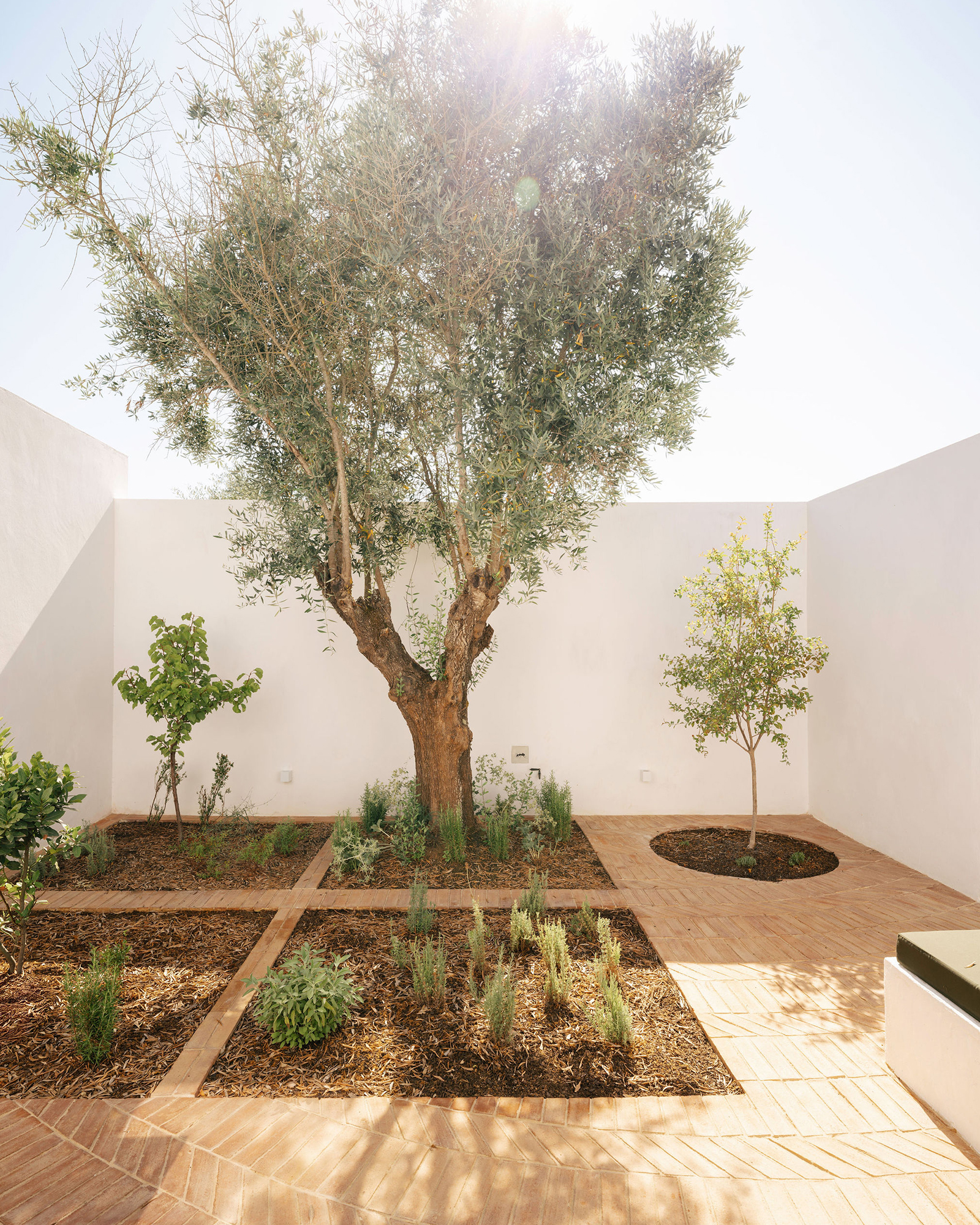 montinhos_estate_setubal-portugal_patio-de-romaneiro-exterior-tree.jpg