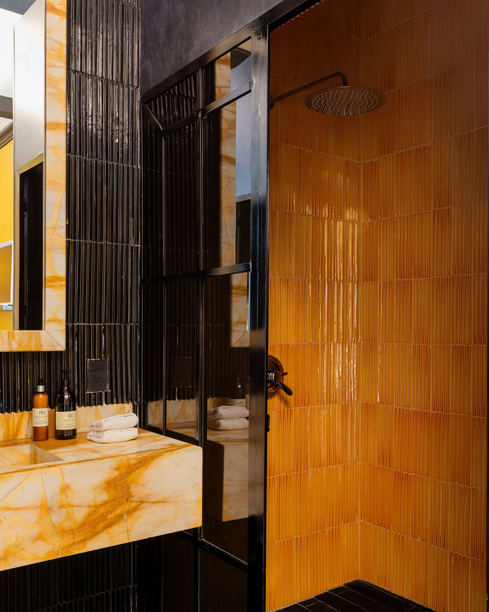 maison-lezard_small-hotel_cdmx-mexico_interior-aura-bathroom-shower.jpg