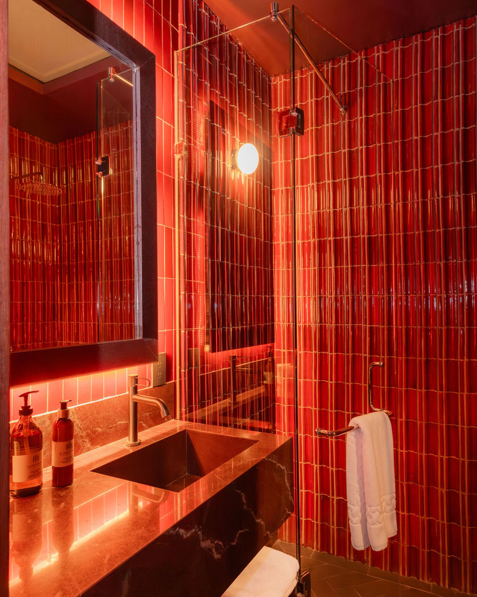 maison-lezard_small-hotel_cdmx-mexico_interior-burgundy-shower.jpg