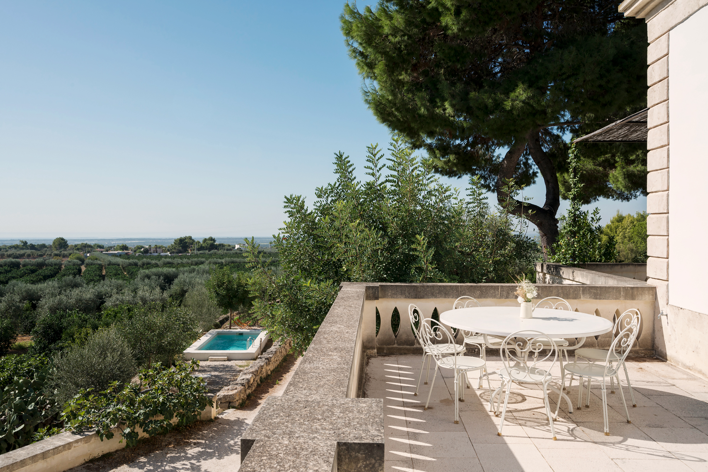 Pancreatic Cancer Symposium 2025 — I-PCC, image size:2400x1600