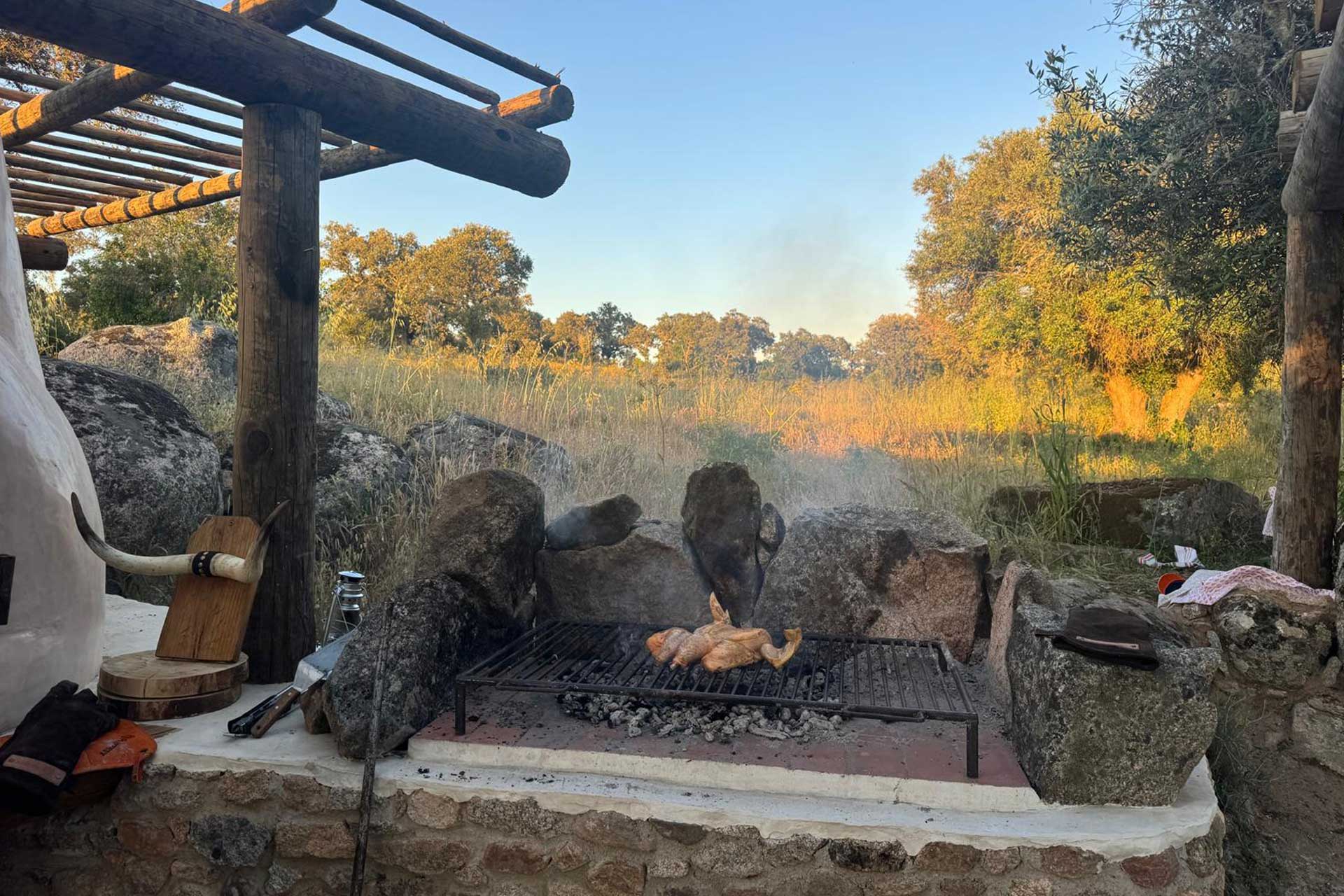 moinho-do-montado_country-house_Sabugueiro-portugal-exterior-chicken.jpg