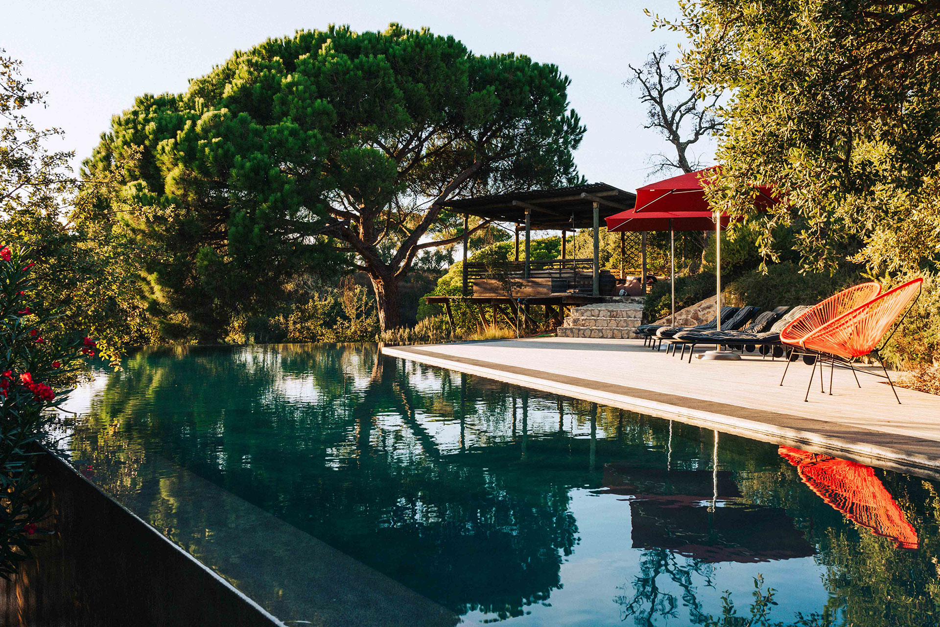 casa-atlantica_beachhouse_melides-portugal_exterior-pool-tree.jpg
