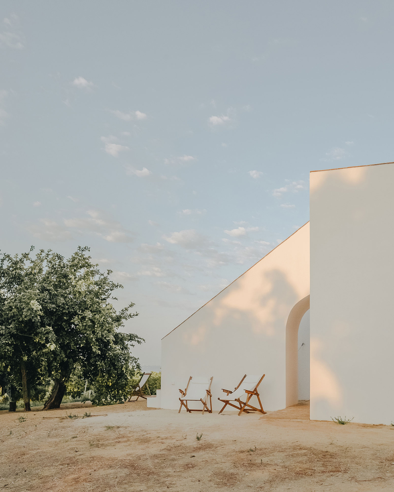 casa-modesta_small-hotel_faro-portugal_exterior-trees.jpg